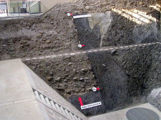 地下観察館のトレンチ（断層断面）