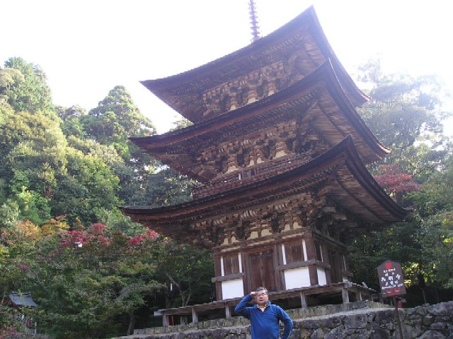 鎌倉後期に建立された三重塔（国宝）。