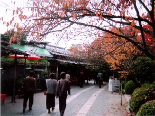 龍安寺参道。茶所や土産物店が並ぶ。