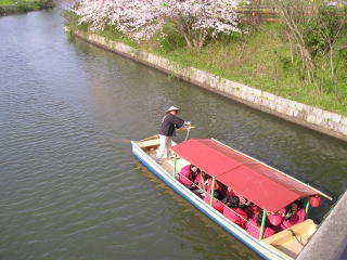 水郷めぐりの舟。ゆったりと川面流れながら見る桜は格別だろう。