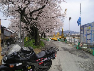 堤防では一昨年の福井豪雨の復旧工事が続く。
