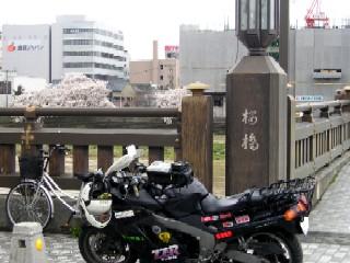 桜橋。