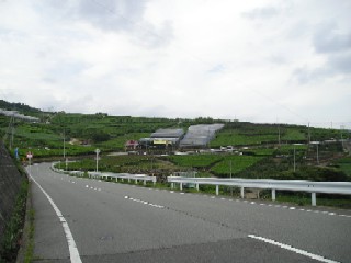 沿道には農園が建ち並ぶ。