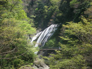 無料展望台から見た袋田の滝