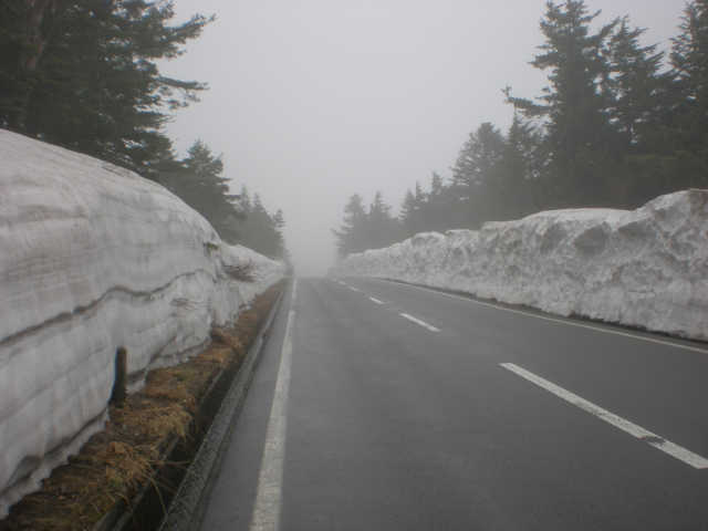 兎平付近で見かける雪の回廊。
