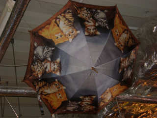 天井には可愛い子猫の傘が。