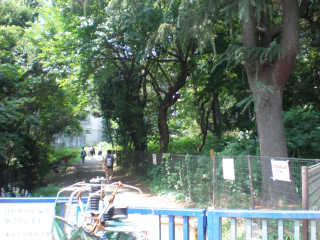 隣は東京大学駒場キャンパスの坂下門